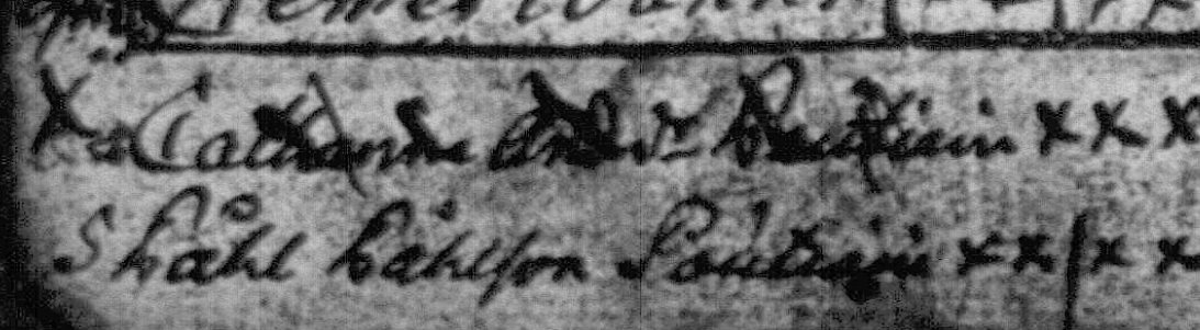 CatharinaAntintytärkö - Copy.jpg