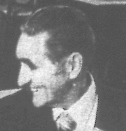 mies.jpg