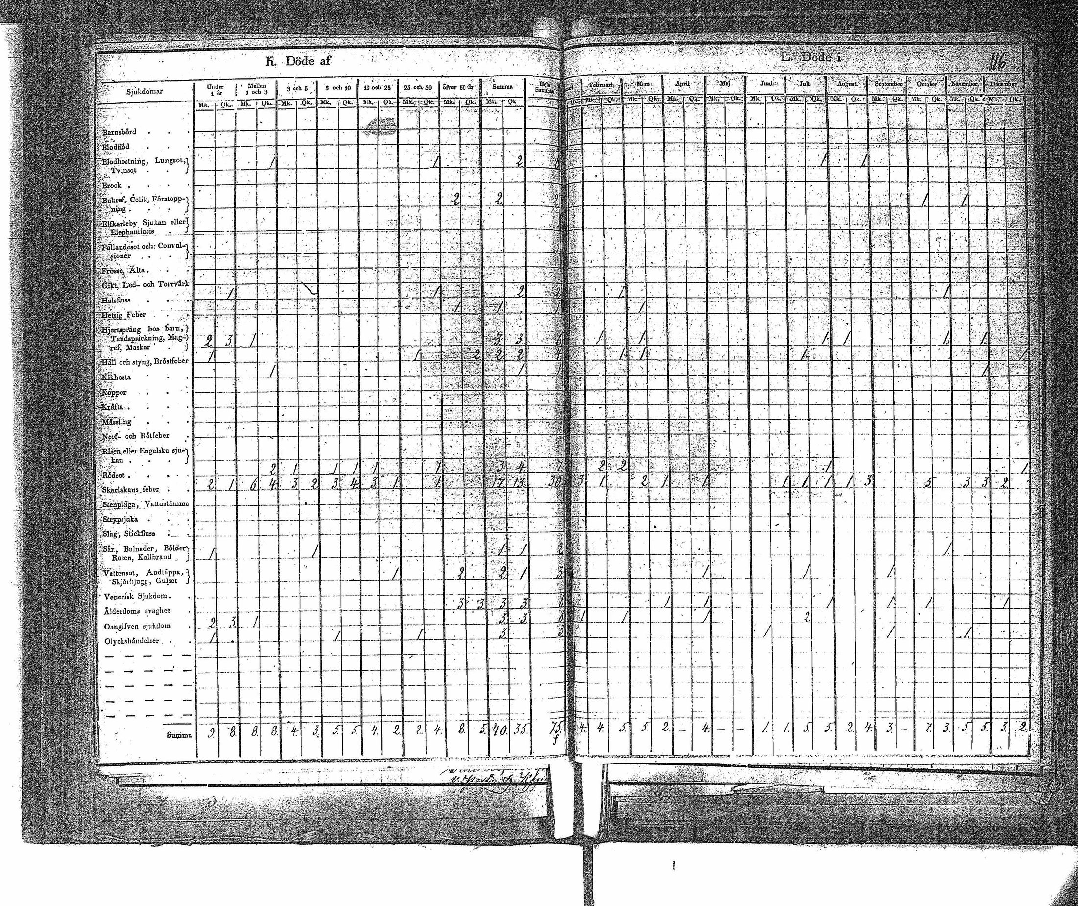 [ kuvat/119.jpg ]
