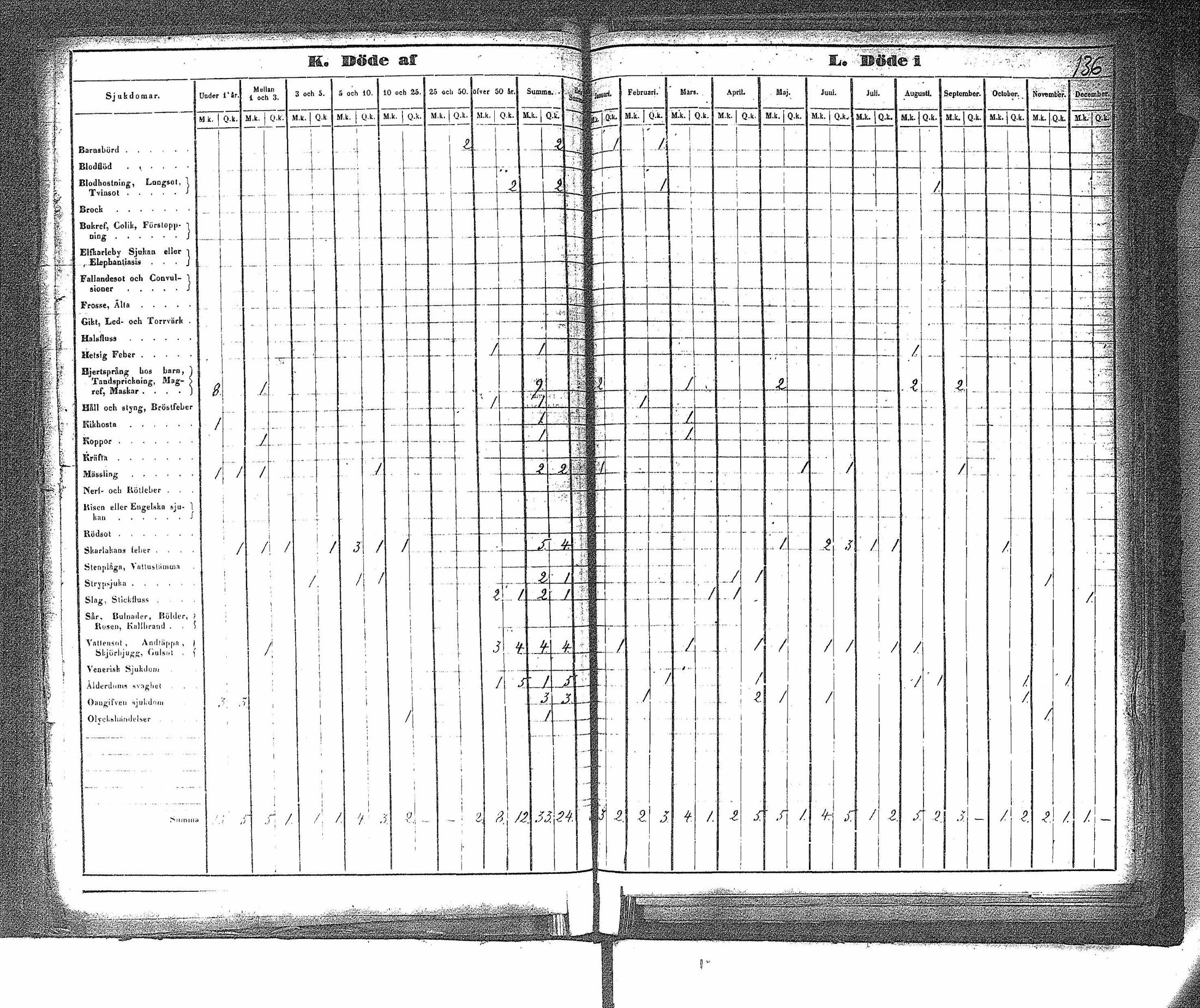 [ kuvat/139.jpg ]