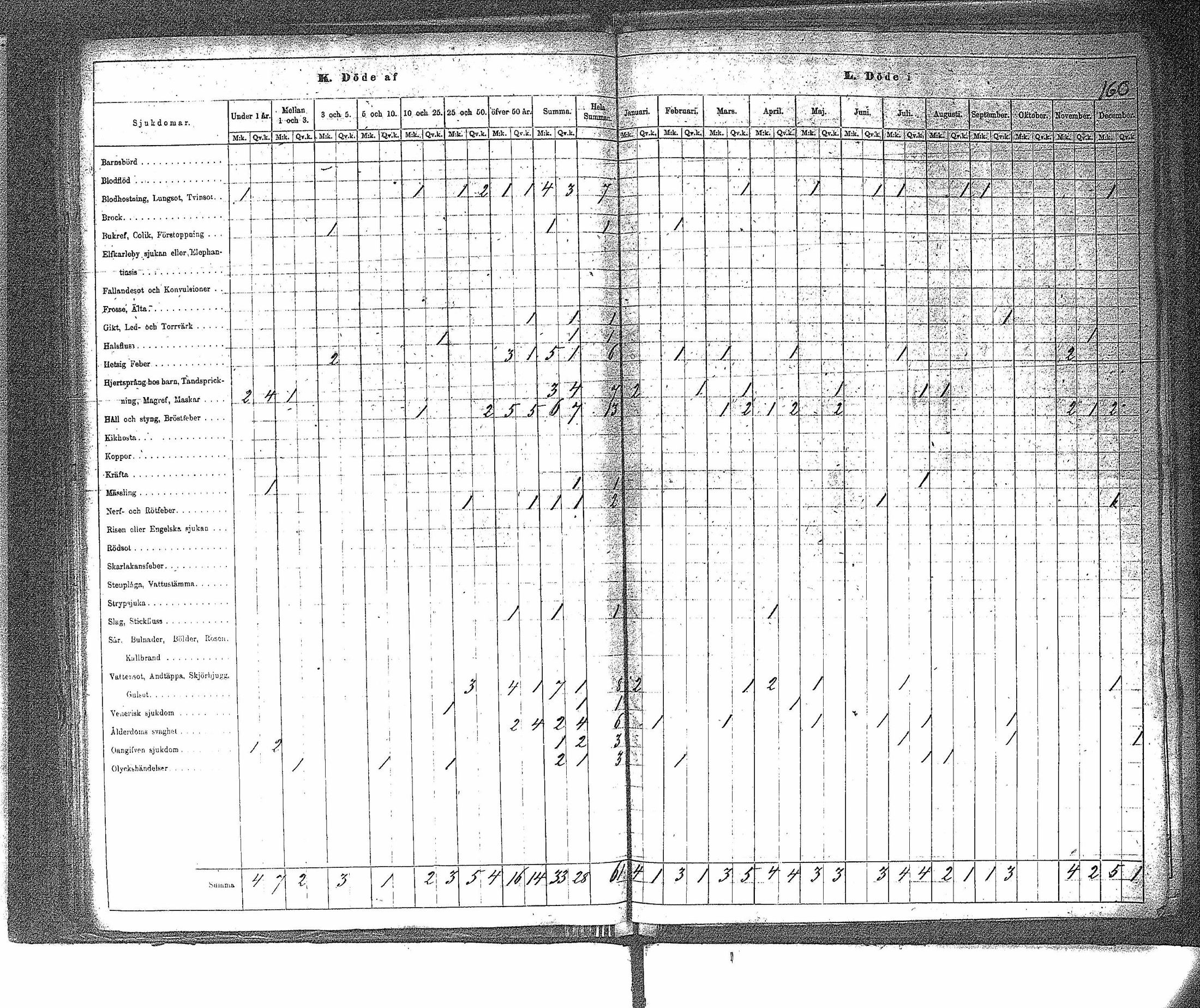[ kuvat/163.jpg ]