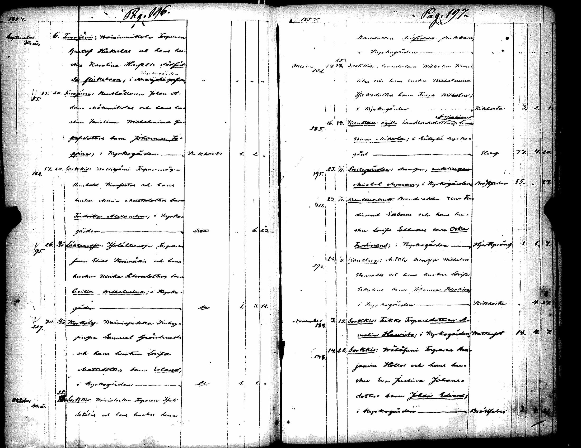 [ kuvat/106.jpg ]