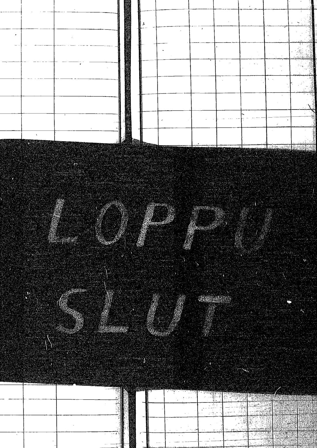 [ kuvat/618.jpg ]