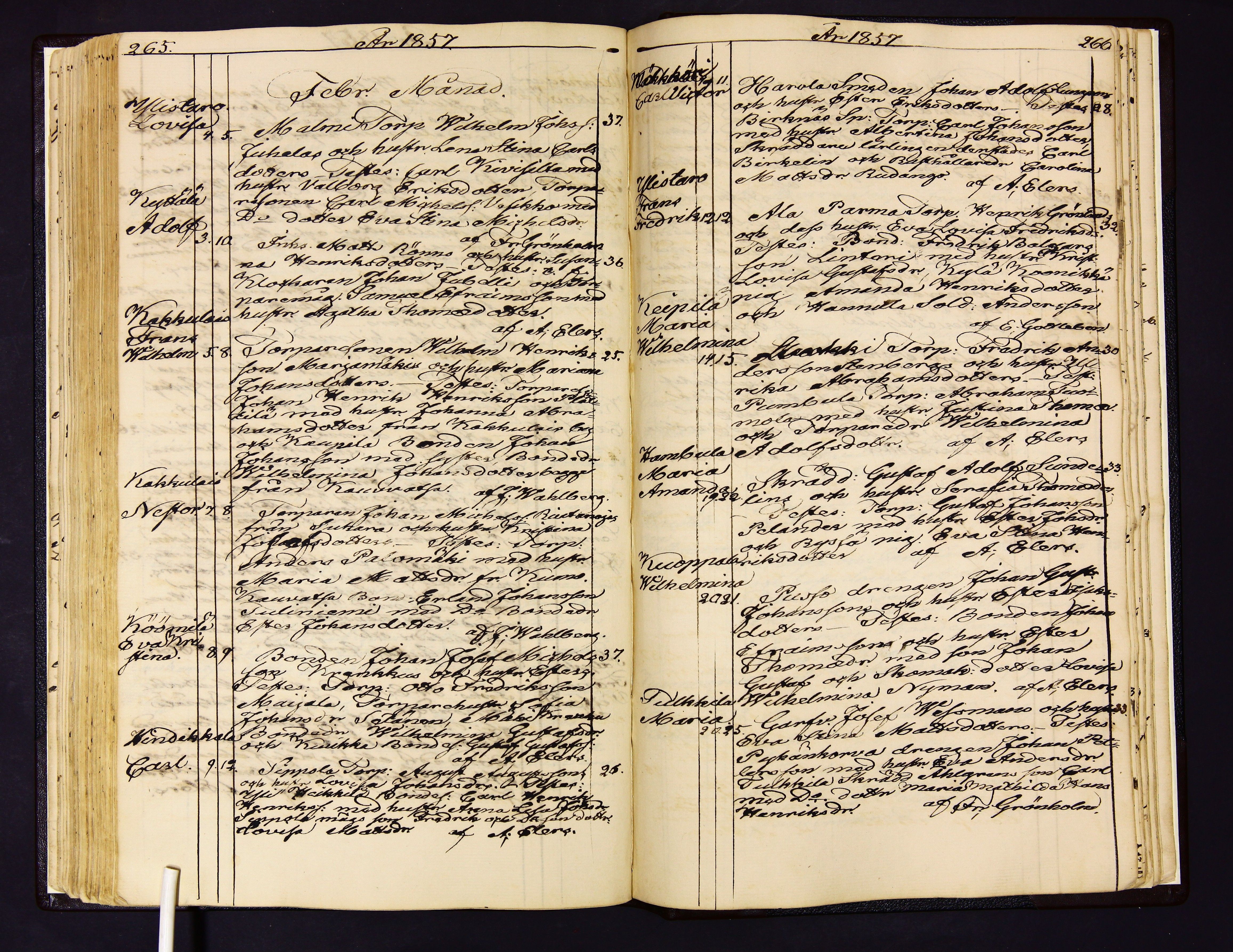 [ kuvat/187.jpg ]