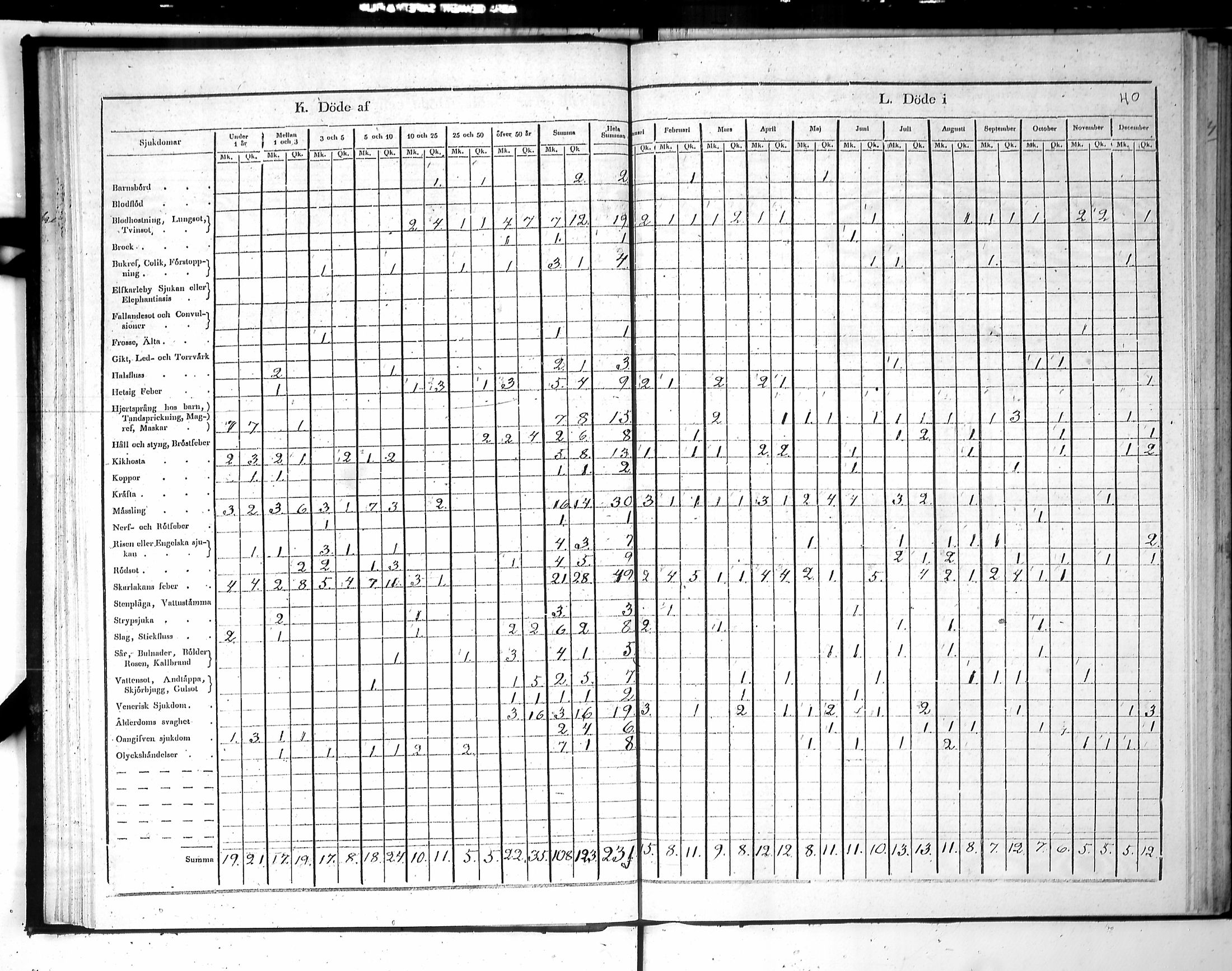 [ kuvat/72.jpg ]