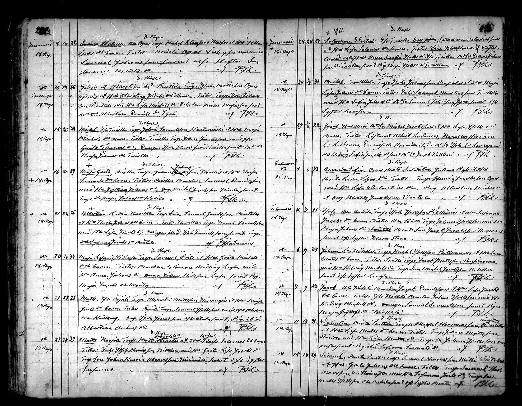 [ kuvat/117.jpg ]