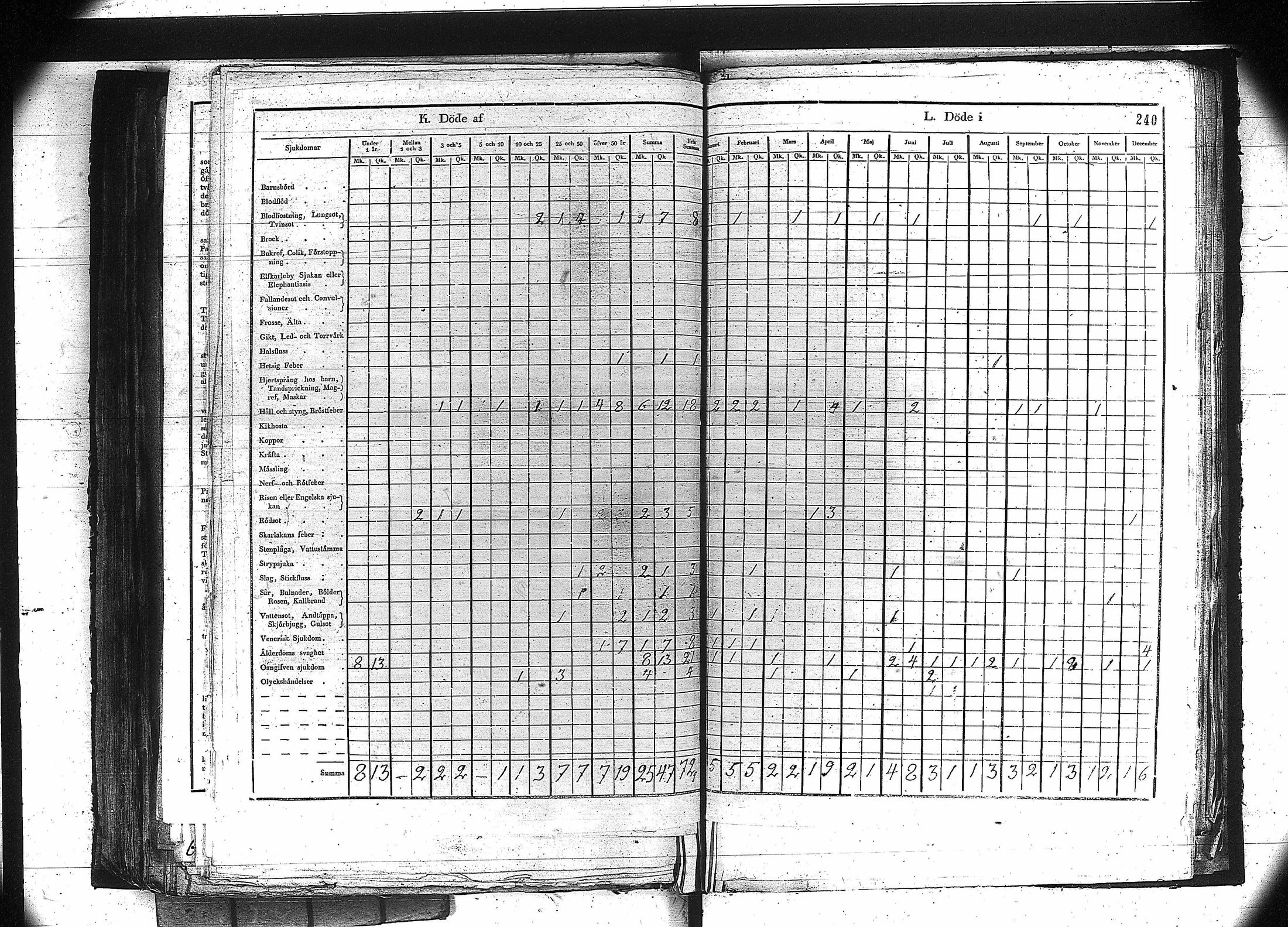 [ kuvat/227.jpg ]