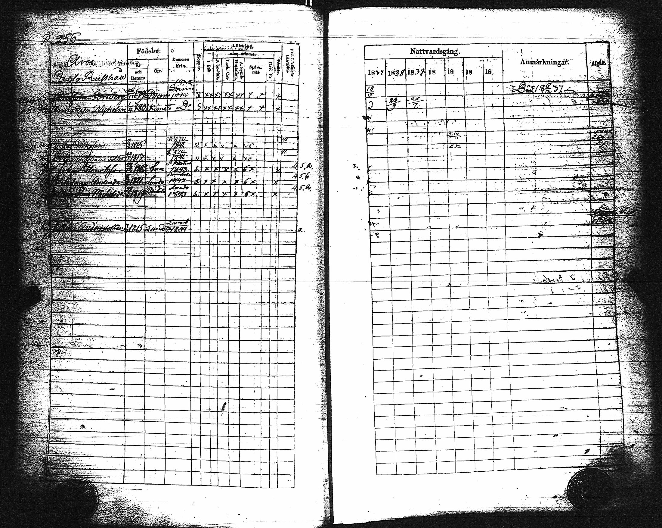 [ kuvat/260.jpg ]