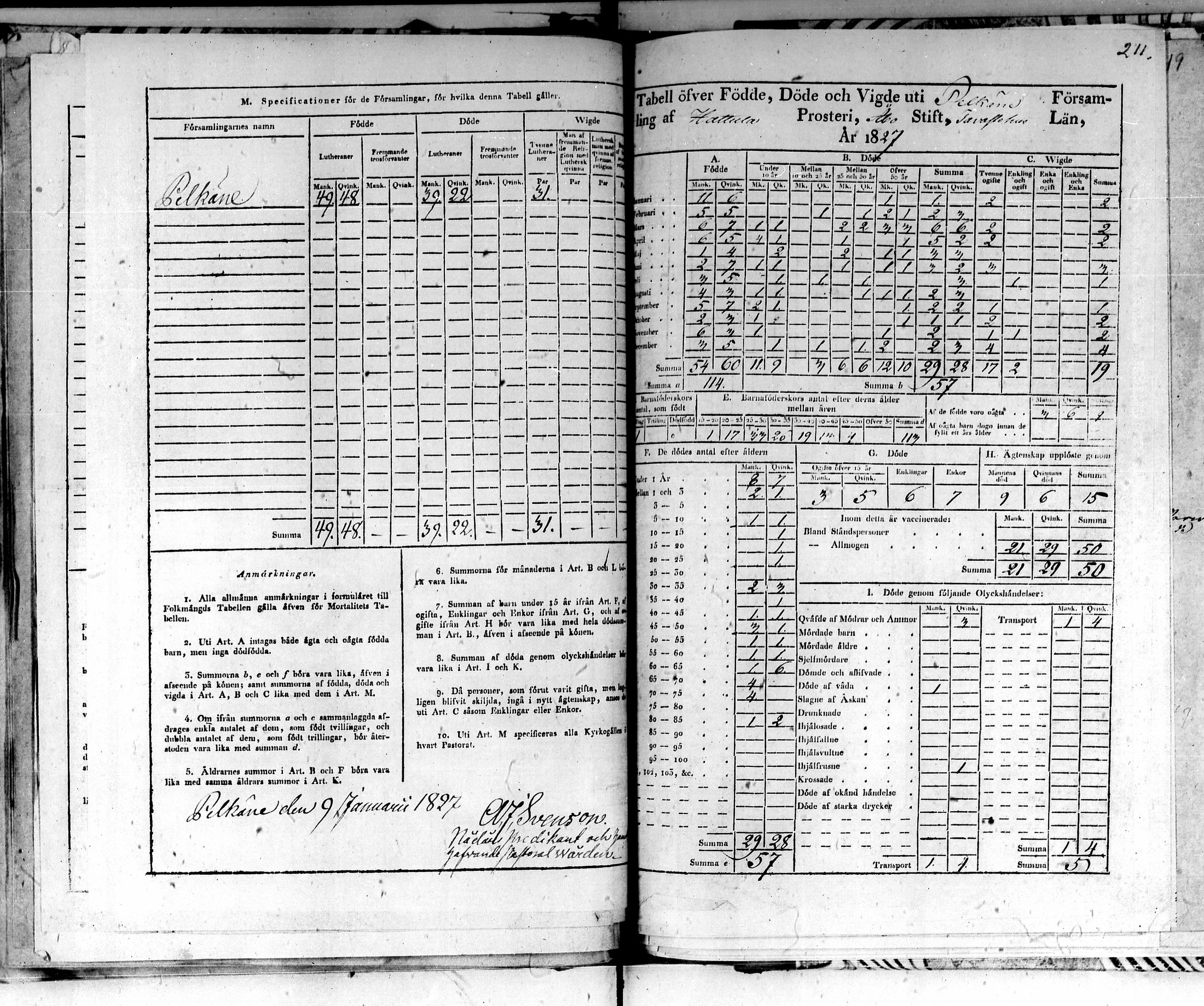 [ kuvat/163.jpg ]