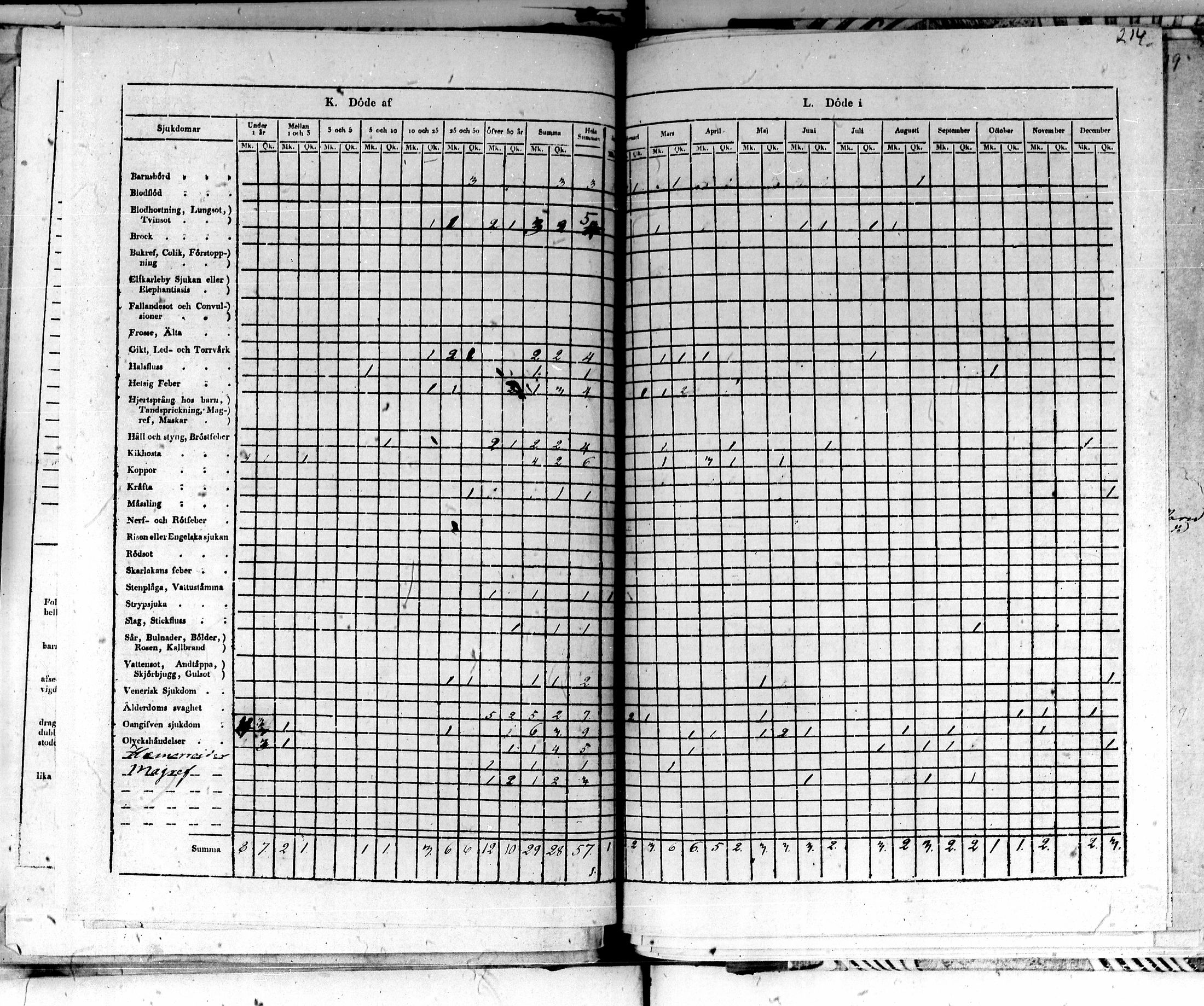 [ kuvat/166.jpg ]
