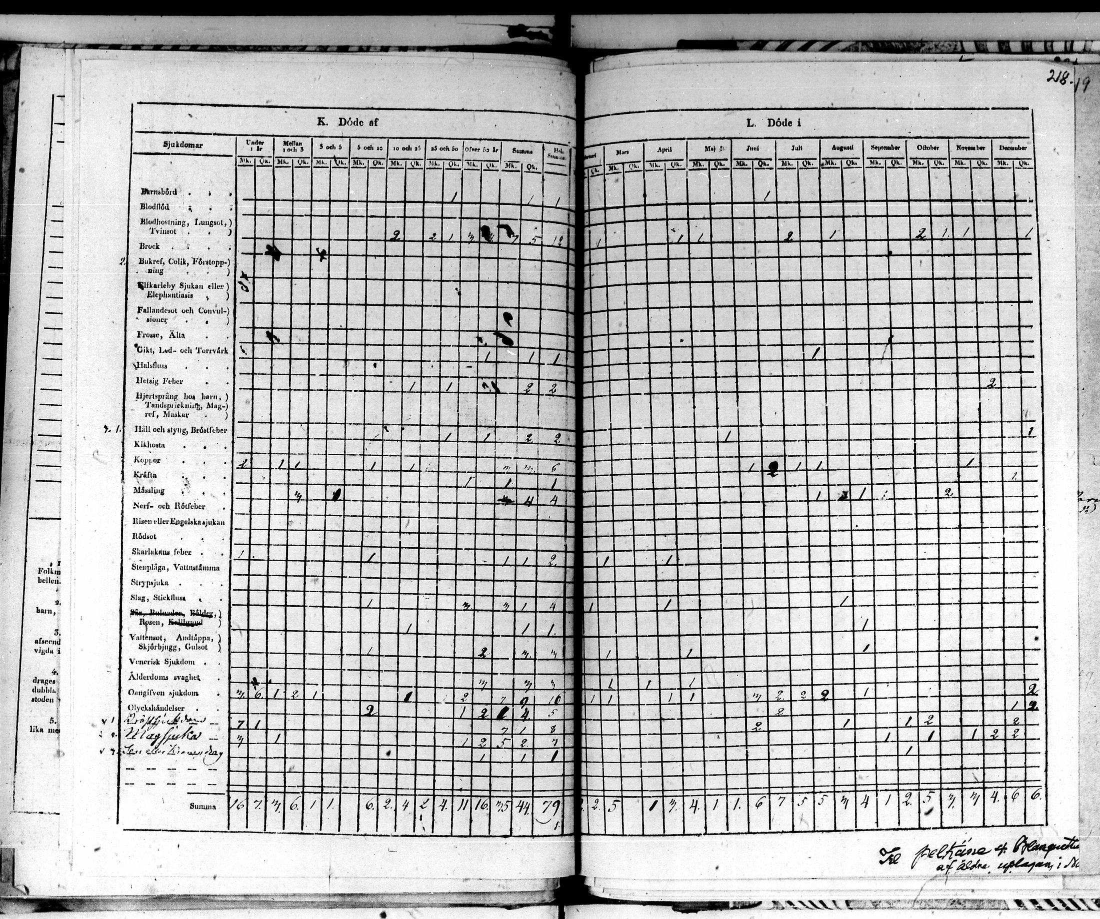 [ kuvat/170.jpg ]