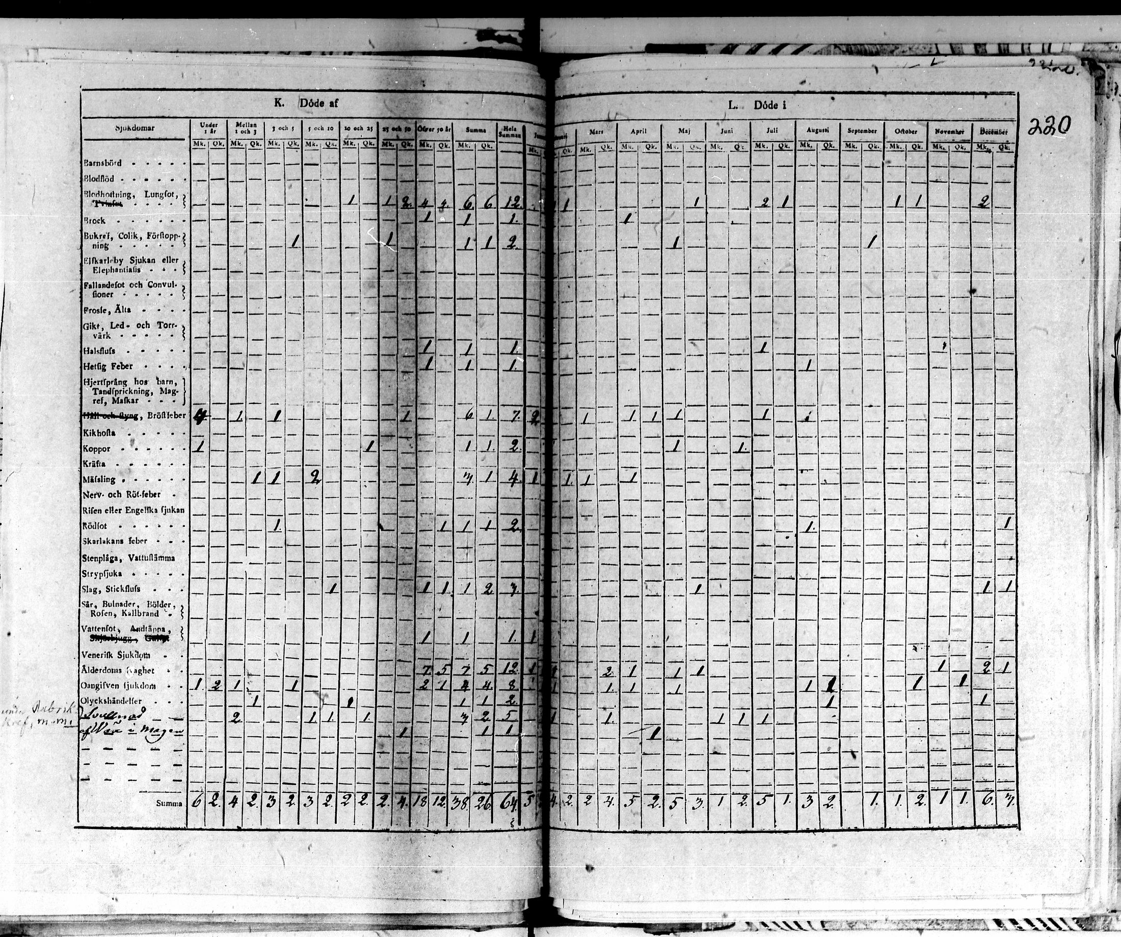 [ kuvat/172.jpg ]
