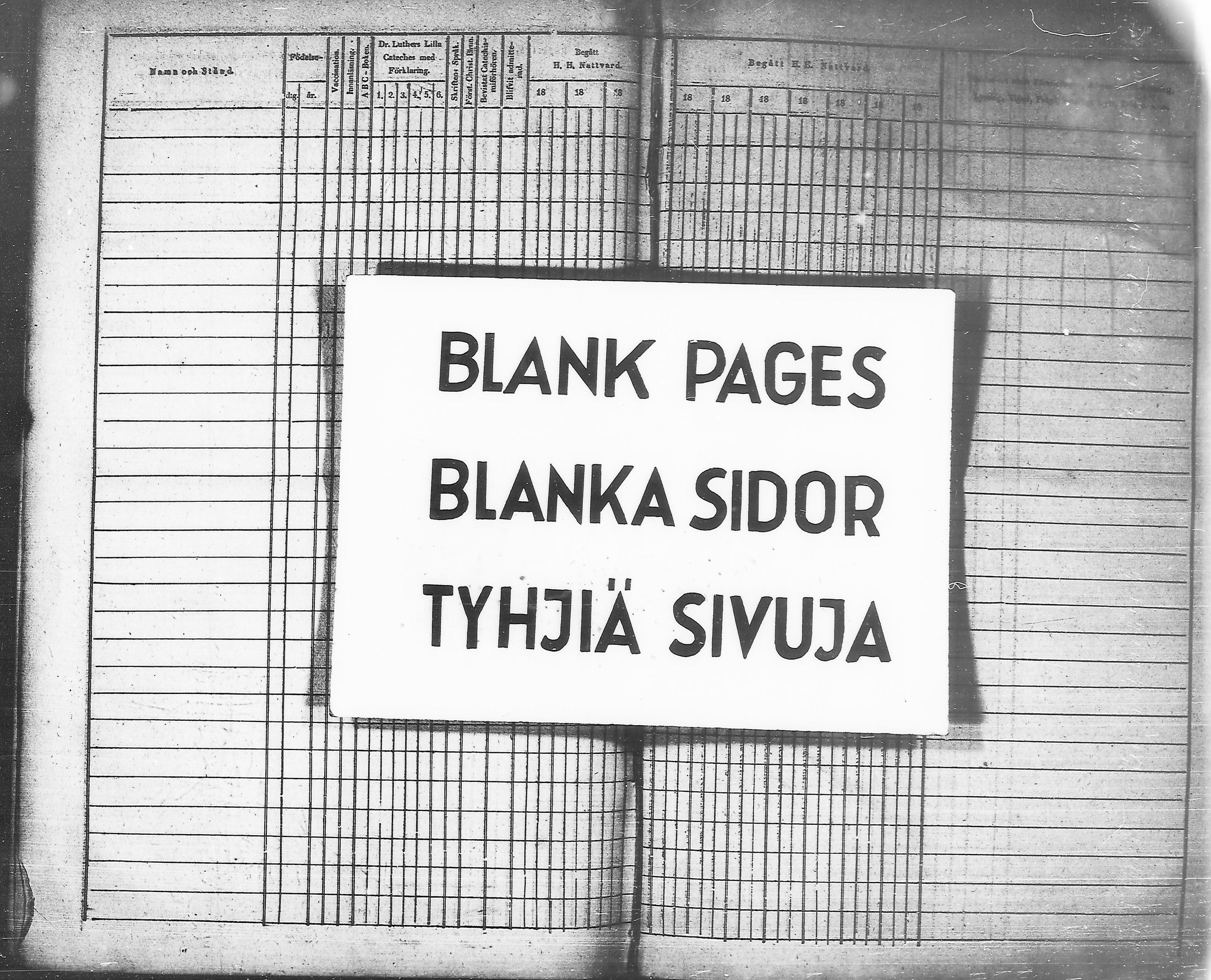 [ kuvat/290.jpg ]