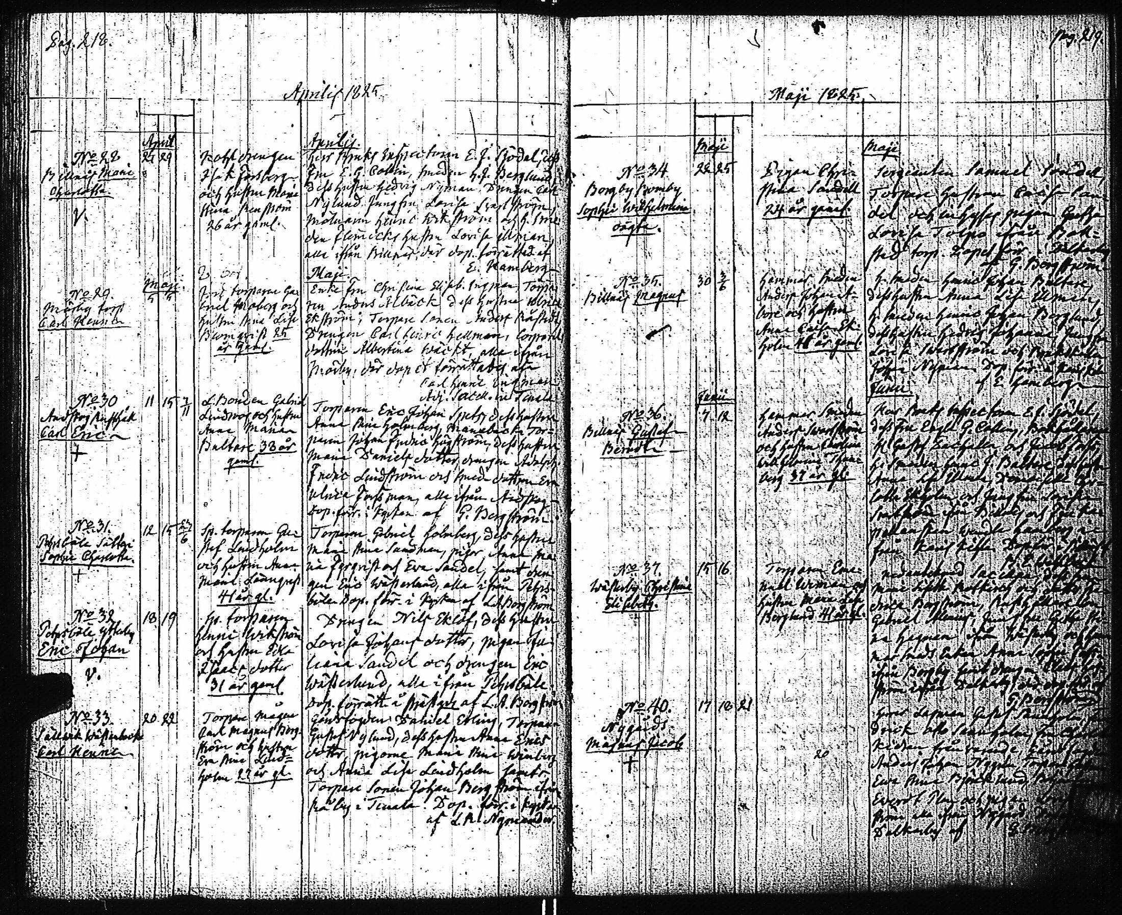 [ kuvat/176.jpg ]