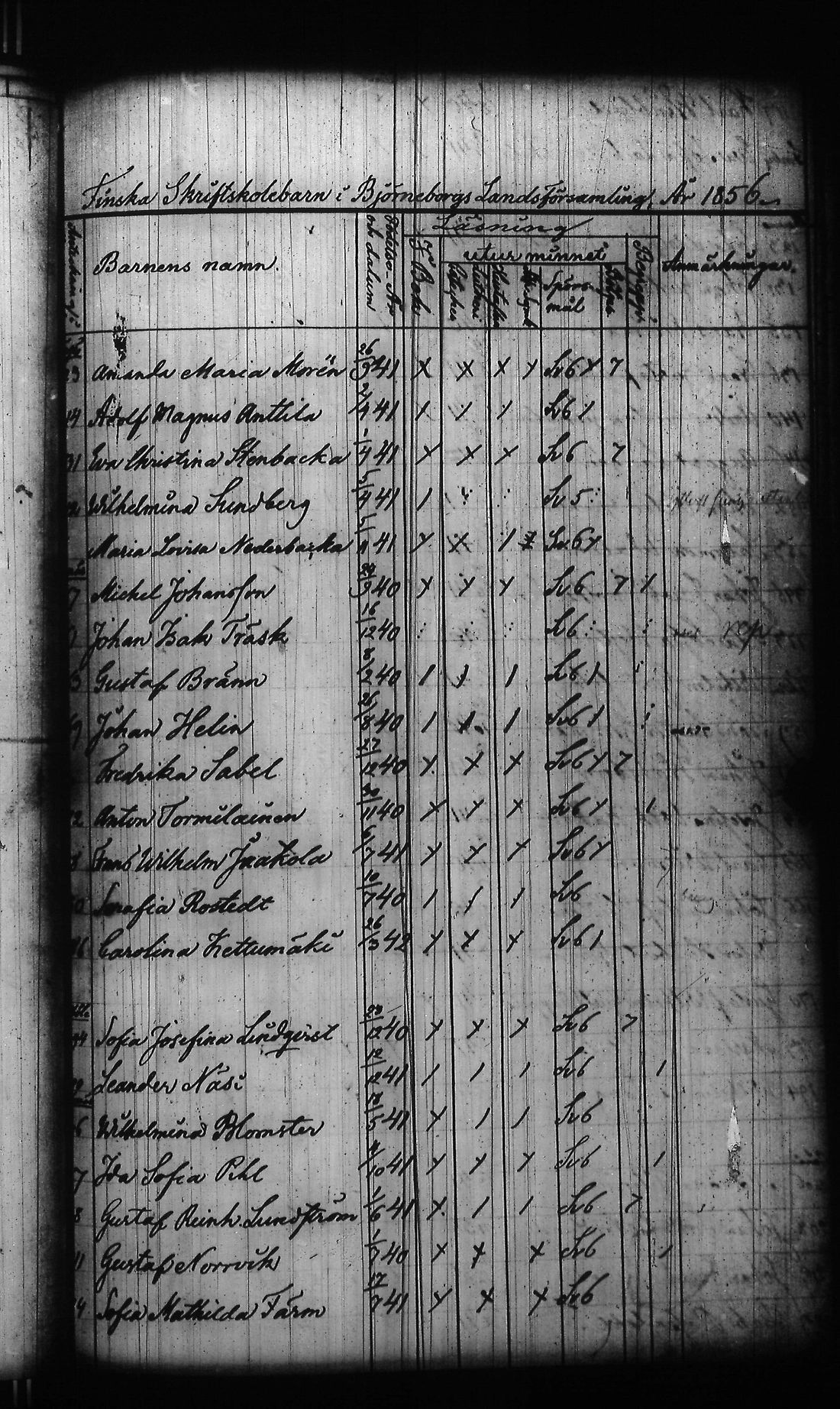 [ kuvat/248.jpg ]