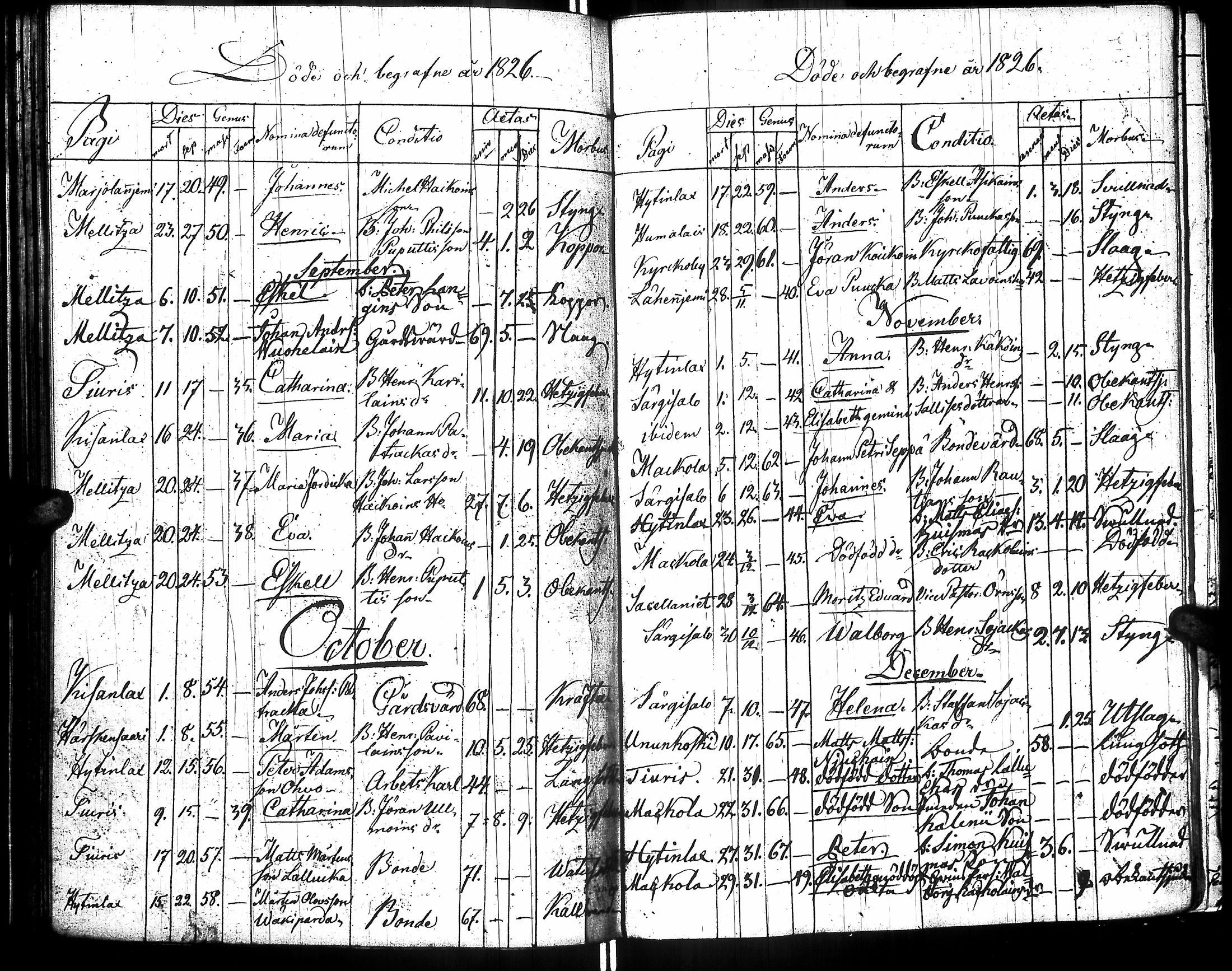 [ kuvat/181.jpg ]
