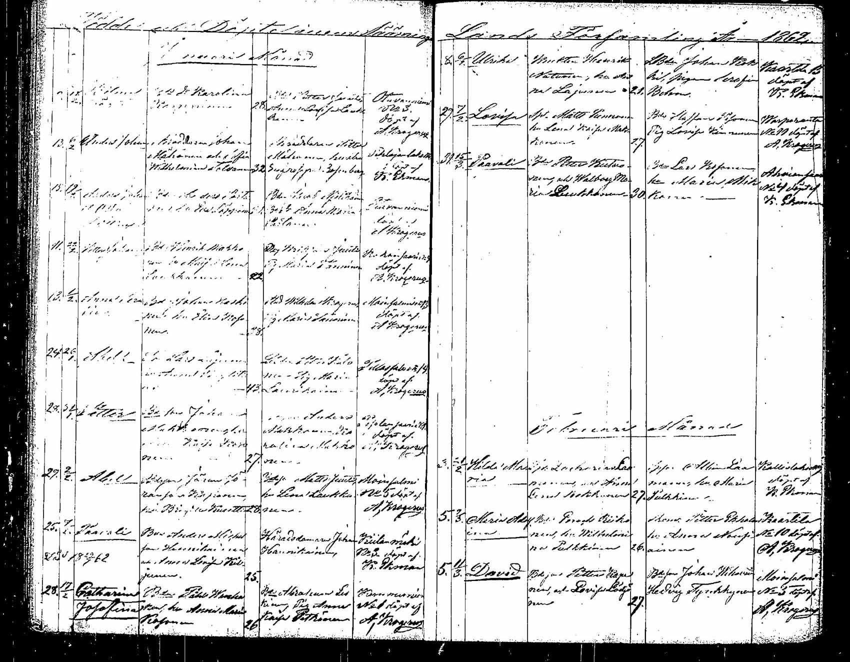 [ kuvat/78.jpg ]