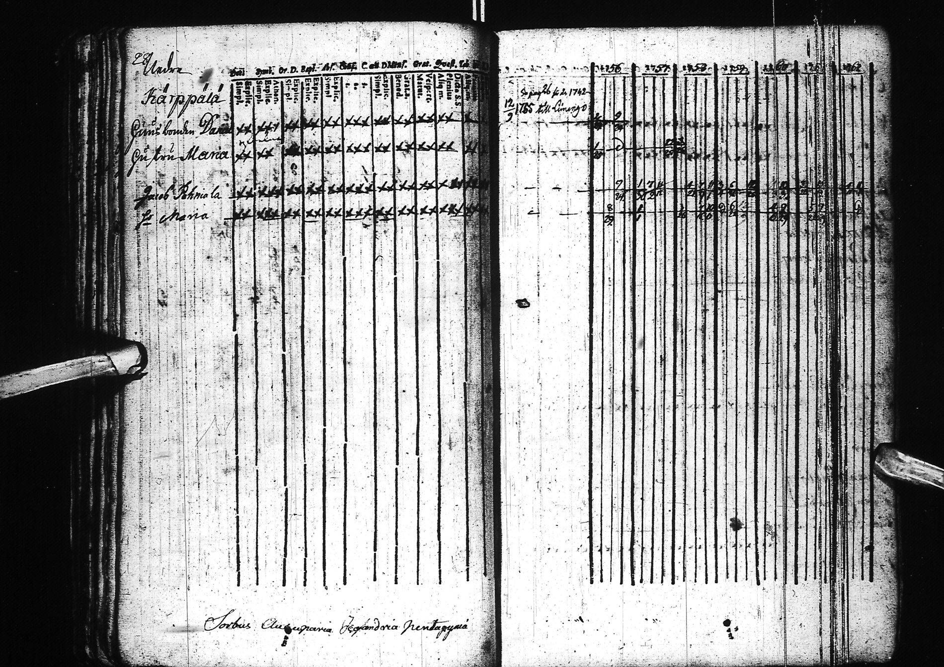 [ kuvat/62.jpg ]