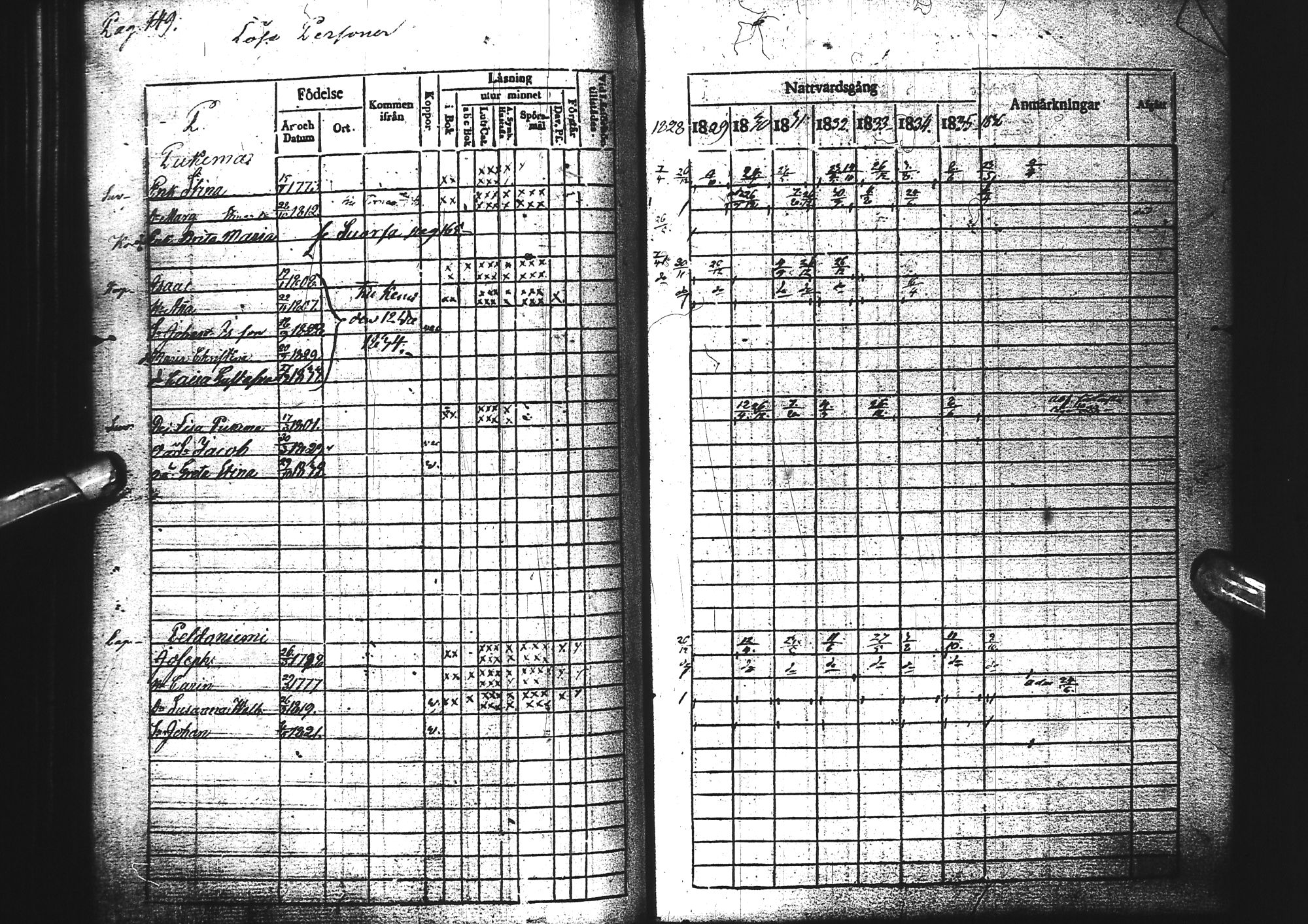 [ kuvat/146.jpg ]