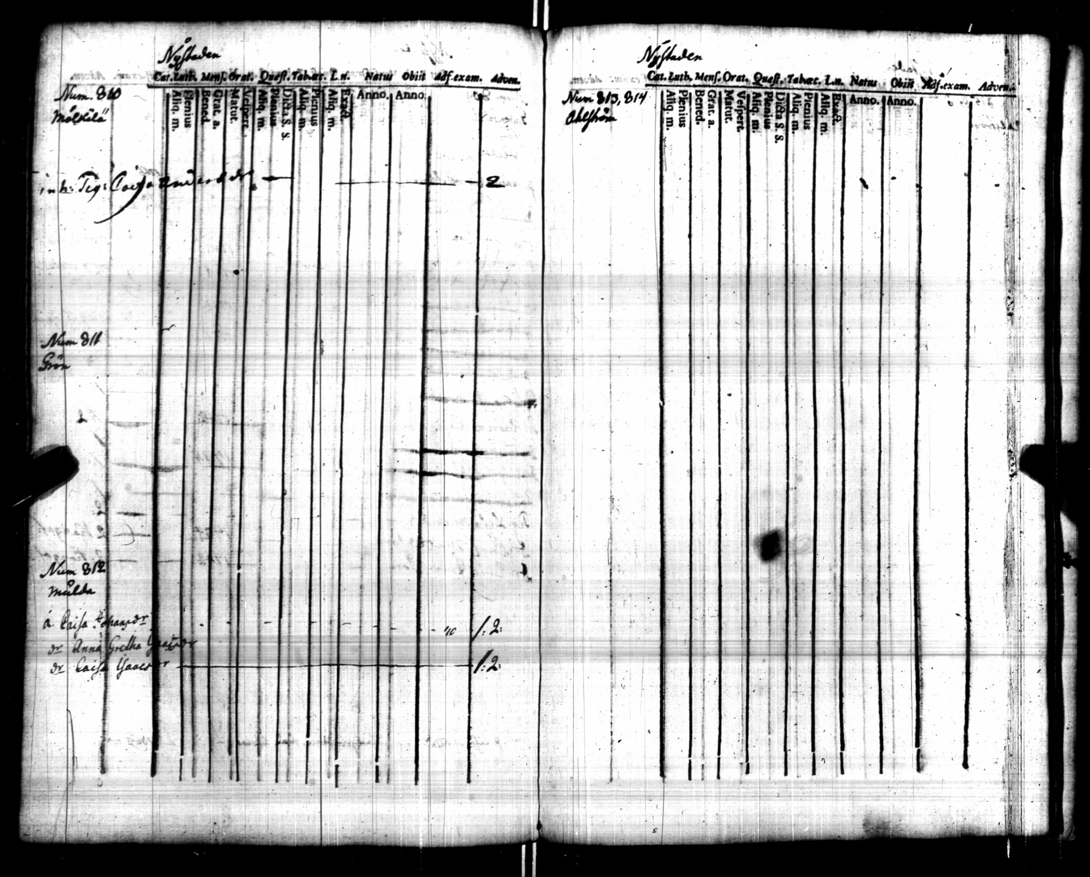[ kuvat/445.jpg ]